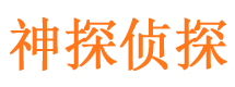 双柏市私家侦探